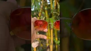 My Rs 13,000 Guess Sunglasses ❤️  #shortsvideo #expensive #guess #sunglasses #terevaaste #fashion