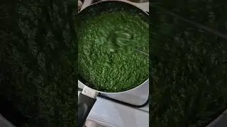 Kako pripremiti smrznuti &scaron;pinat? brzo i jednostavno. #spinat #kuhanje
