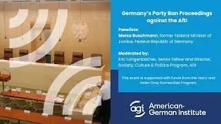 Germany's Party Ban Proceedings against the AfD