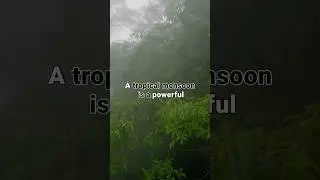 What is a Tropical Monsoon? Learn Its Impact! 🌧️ #TropicalMonsoon #Weather #Climate #Geography