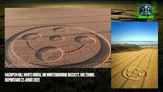 Crop Circle Hackpen Hill White Horse, nr Winterbourne Bassett, Wiltshire