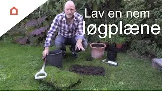 Anlæg en smuk løgplæne i haven