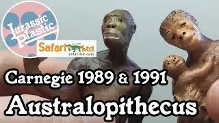 Carnegie Collection 1989/1991 Australopithecus Review