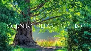 Morning Relaxing Music - Positive Feelings and Energy #The beauty of calm#morningrelaxingmusic