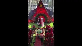 PAX Aus 2024: Real-Life Furry Wedding Takes Place #shorts
