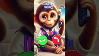 monkey #iphone #samsung #ringtone #shortvideo #shorts #viralshort