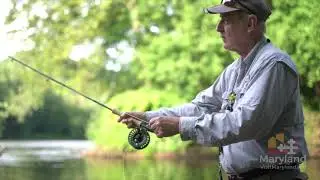 Maryland's Scenic Byways: The C&O Canal