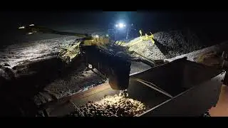 Odbi&oacute;r burak&oacute;w cukrowych / mokro 