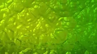 Smooth Rippled Green Slime Background 4 - Free to use