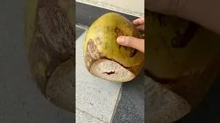 I was about to throw away this Coconut but this happened #funpage #thestupids #coconut #dancevideo