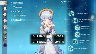 Brooo, i met C6 Ayaka with almost 300% Crit Damage in Random Coop!