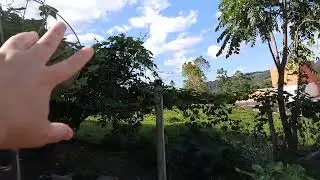 Fazendo um tour pela casa nova.