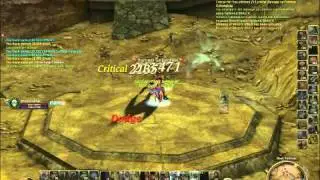 Aion Chanter DPS Test lvl 55