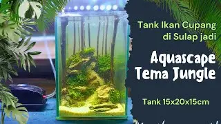 #33 Membuat Aquascape Mini Tema Jungle | Tank 15x20x15cm