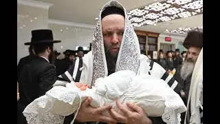 ברית לנכד האדמורים   מקאמרנא זוטשקא אמסאנא ובוטשאן