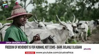 Open Grazing Ban: Freedom Of Movement Is For Humans, Not Cows Barr Bolanle Olugbani | NEWS