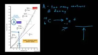 Skittle lab, half life and radioactive decay background info
