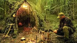 A room was made by cutting into a tree trunk in the jungle.