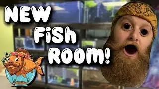 Моя первая рыбная комната! 🐟 Потрясающий тур!