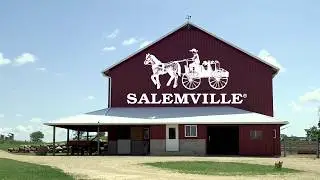 Salemville&reg; Blue Cheese - Short