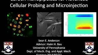 Penn MEAM Seminar: Carbon Nanopipettes for Advanced Cellular Probing and Microinjection