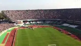 TIFO MCA vs ESS