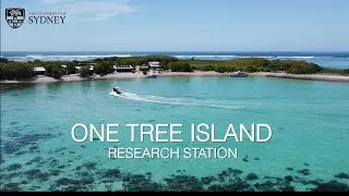 One Tree Island Research Station