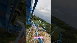 Phoenix Rising POV 🔥 #rollercoaster #phoenixrising #buschgardens #tampa #themepark #ride