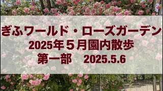 ◯ぎふワールド・ローズガーデン🌹第一部早咲きのバラを求めて