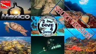 Brotherdive 2016 - Mexico - Short version (FULL-HD - 2dive4)