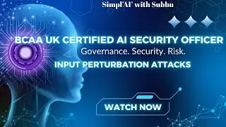 BCAA UK   CAISO   INPUT PERTURBATION ATTACK