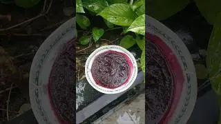 Jaggery and Beetroot Jam | Healthy Jam | How to make Jam at home | #shorts#youtube#viral#trending