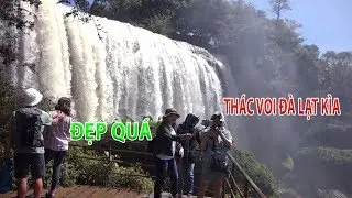 Ngỡ ng&agrave;ng với vẻ đẹp m&ecirc; hồn của Th&aacute;c Voi Đ&agrave; Lạt | Review Th&aacute;c Voi
