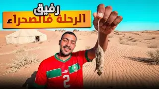  “🙆‍♂️مغامرة طويلة:! تمشّيت 4 ساعات 🐪وسط الرمال… وتجربـة ما تنساش✅!