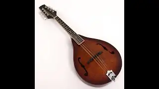 All Solid Wood A-Style Mandolin (PMA-024, Shanghai Music Show Sample)#pango #pangomusic #mandolin