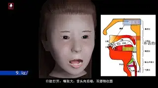 6 英语音标 重制版 舌位结构图