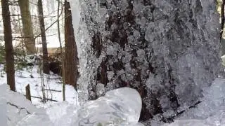 Charming ice scenery