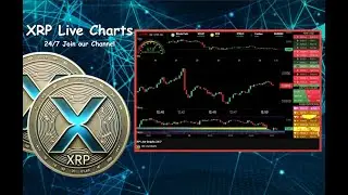 XRP Live Graphs 24/7