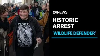 Tasmania jails environmental activist, it is the first protest arrest in ten years | ABC News