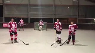 Sportlerwahl: Die U16 des HC Merdingen