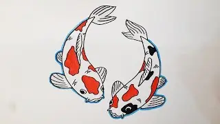 Menggambar Ikan Koi Bagus Dan Mudah
