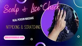 ASMR Scratching, nitpicking, Relaxing Scalp check for sleep, 音フェチ | massage 4C Hair Braids 먹방꿀벌