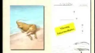 The Fossil Record: Intermediate forms are abundant!