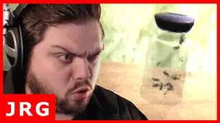 Flies In A Jar | INDIE HORROR GAME