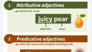 6. English Grammar for Beginners, level 01, adjectives define & types of adjectives
