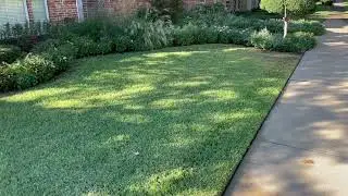 John and Peggy's ​S​t. Augustine Lawn Success Story