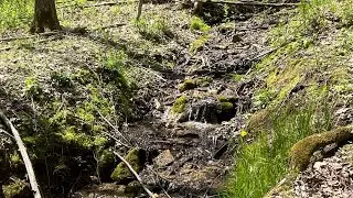 Exploring Some Bubbling Streams at Governor Dodge