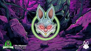 Mr.Meaner - Brain Fuzz [DnB Doctor.]