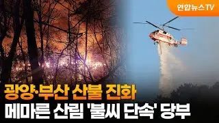 광양·부산 산불 진화…메마른 산림 '불씨 단속' 당부 / 연합뉴스TV (YonhapnewsTV)