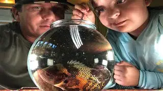 Our pet &ldquo;OSCAR&rdquo; - Catch Clean Cook